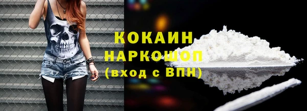 сатива Козловка