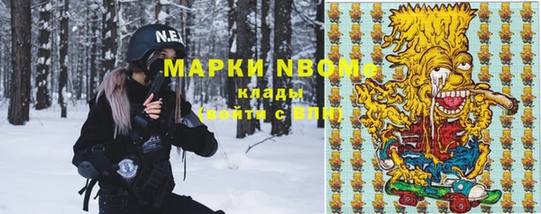 сатива Козловка