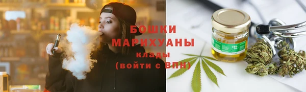 сатива Козловка