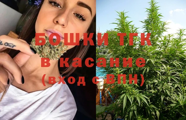 стафф Козельск