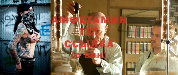 сатива Козловка