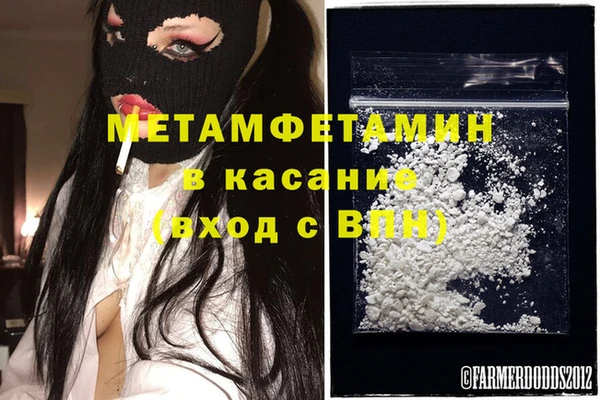 сатива Козловка