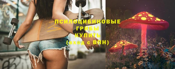 сатива Козловка