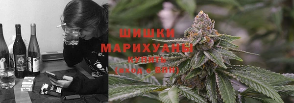 сатива Козловка